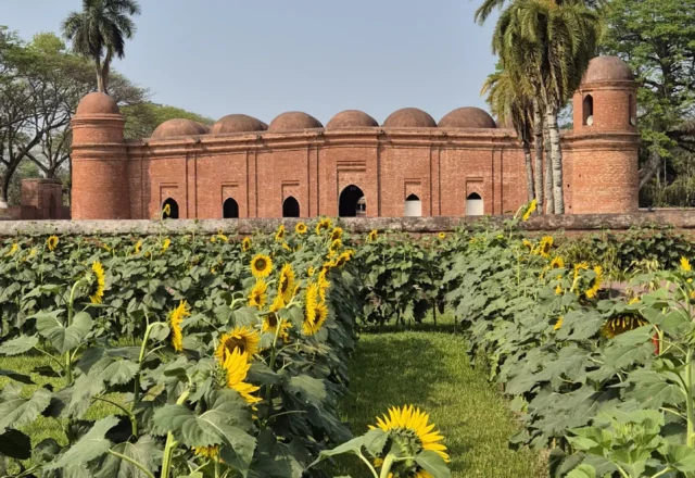 Sixty Dome Mosque seen from the garden