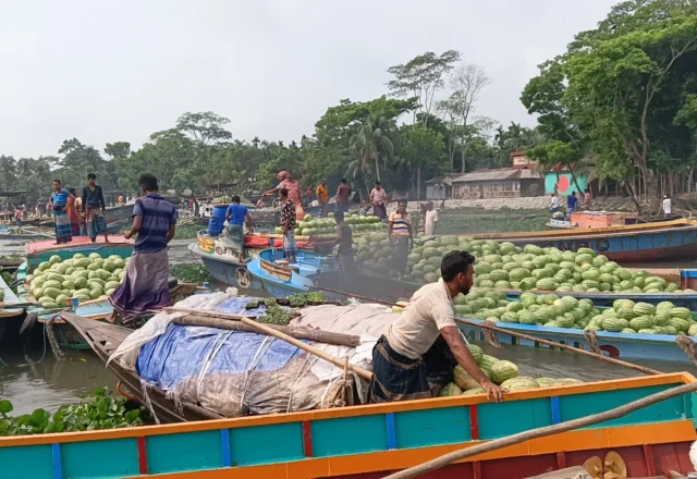 A big watermelon market on the river
