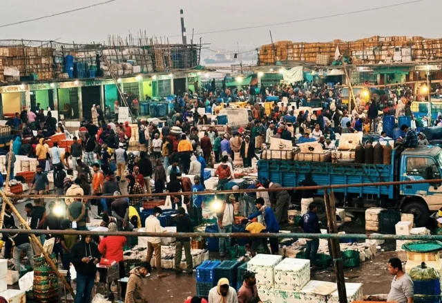 A busy morning in fisheries market Chittagong