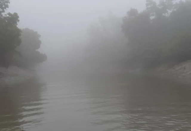 A foggy morning in the river of Sundarbans