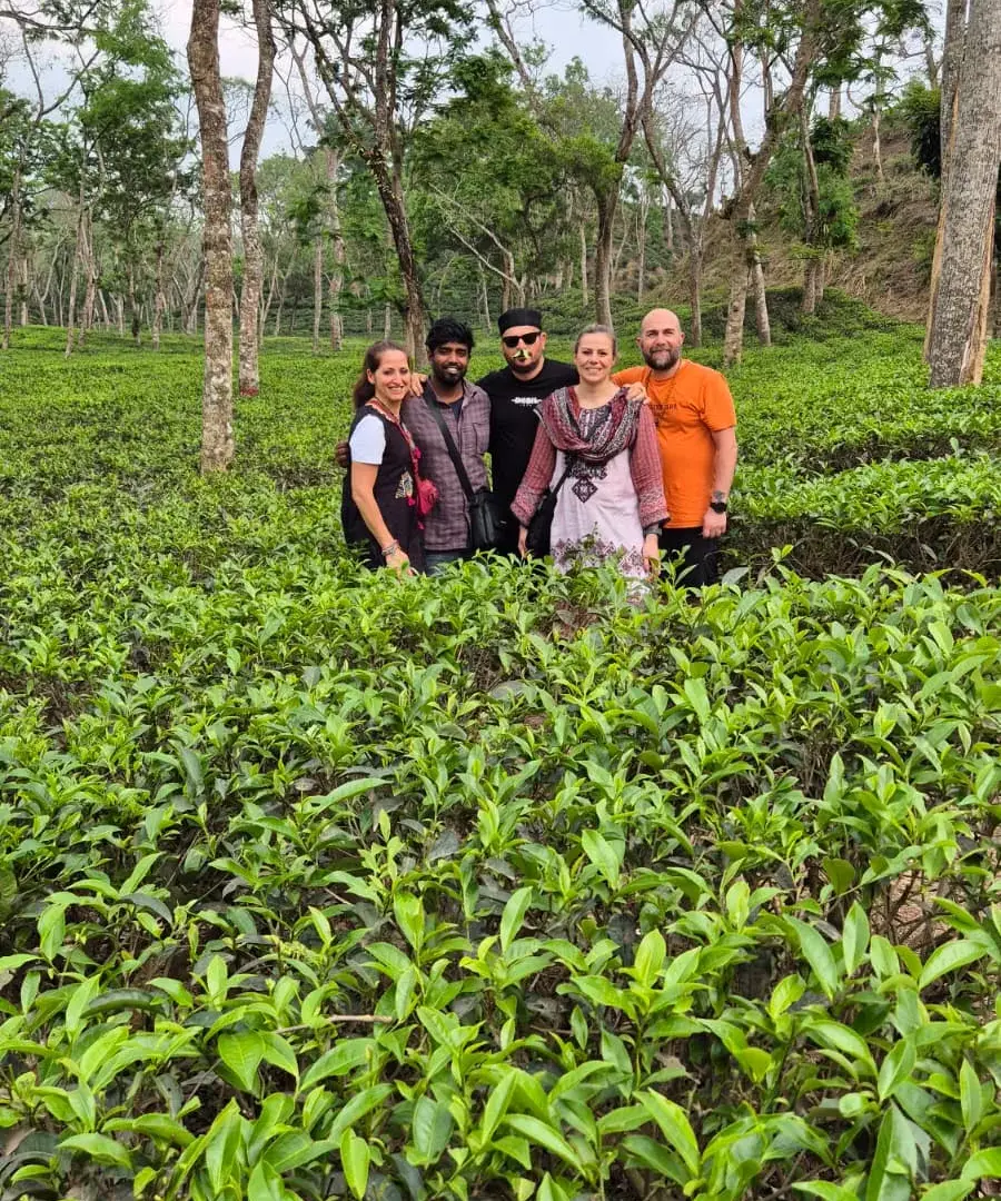 A group of tourists in tea garden Sreemangal