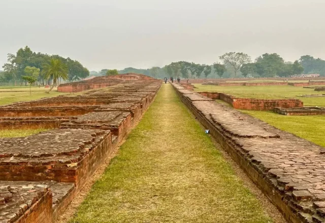 A long road through the ancient Sompur Mahavihara
