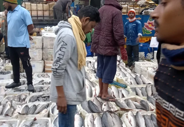 A seller selling fishes in the fisheries market