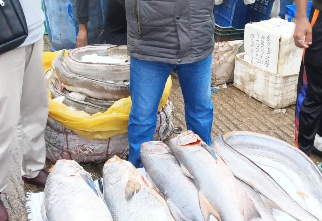 A seller with his big fishes of the day