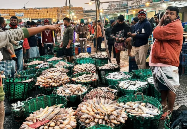 A seller with various kinds of fishes in fisheries market