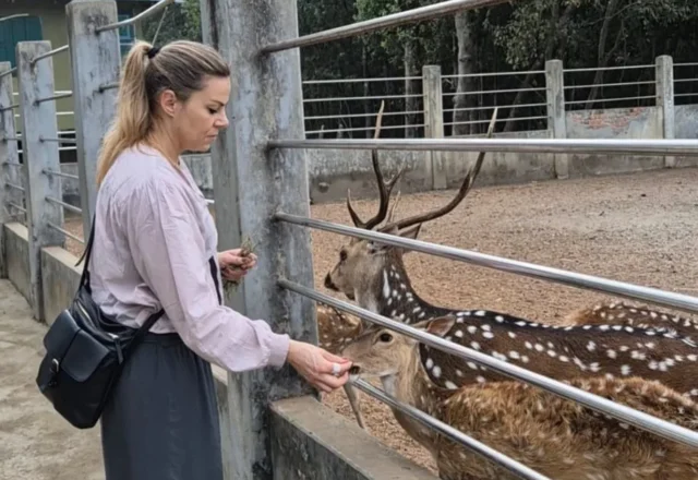 A tourist feeding a deer