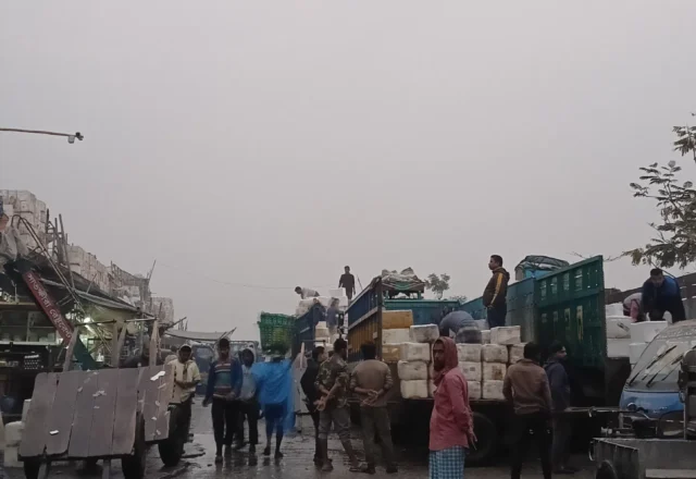 A truck is being loaded with fishes in the market