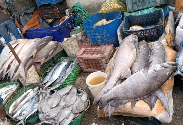 Fishermen selling black pomfret and other fishes