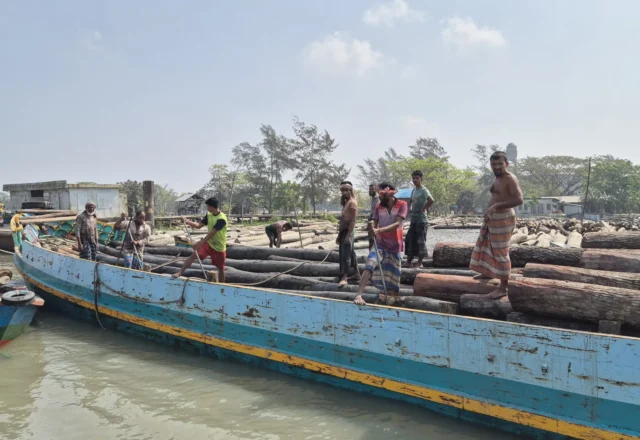 Labourers working hard in Timber Market