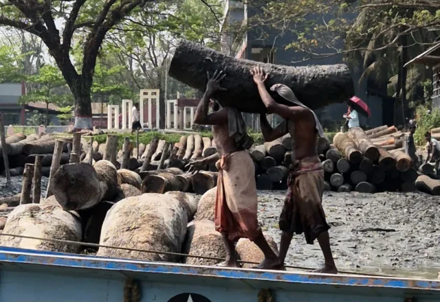 Labourers working in Timber Market