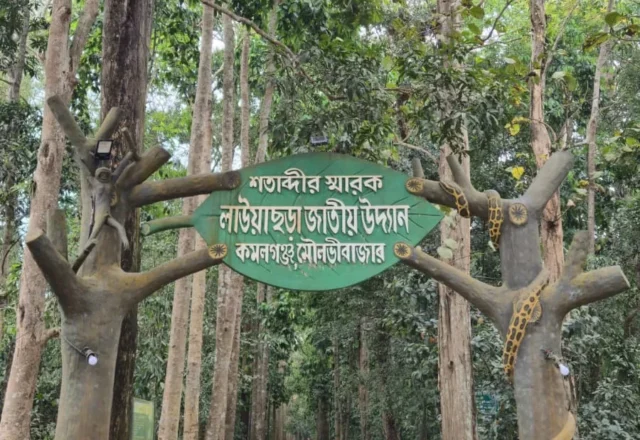 Lawachara National Park Sylhet