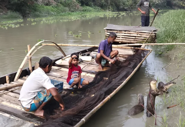 Local fishermen catching fish in river by otters