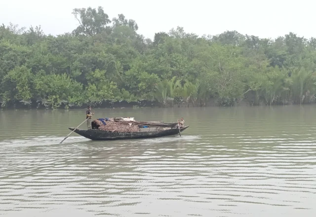 Outside mangrove forest in Sundarbans