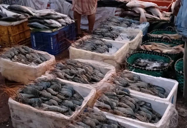 Prawn fish market in fisheries market