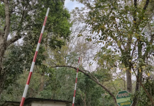 Rail crossing in Sreemangal