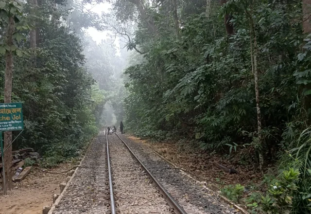 Rail line at Lawachara National Park