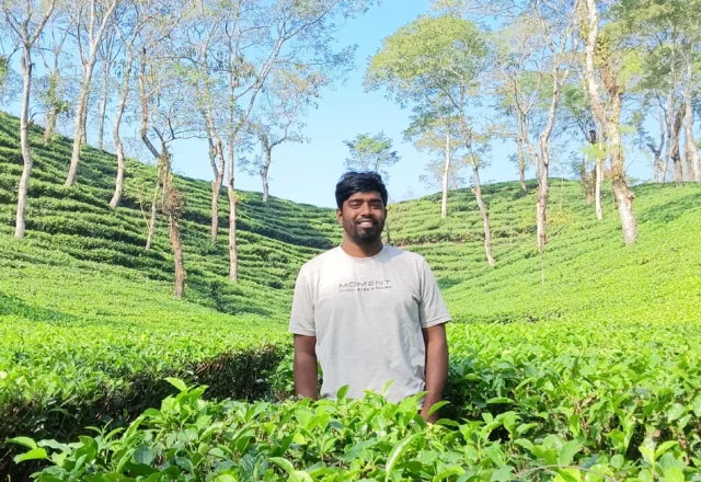 Taking a photo in a sunny day at tea garden
