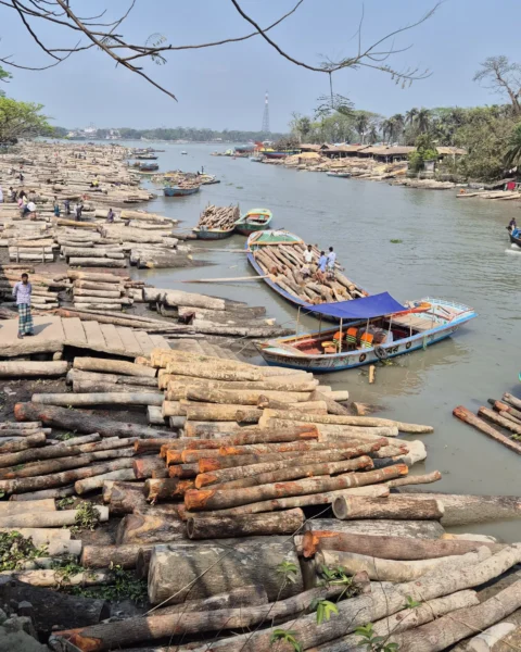 Timber Market top view