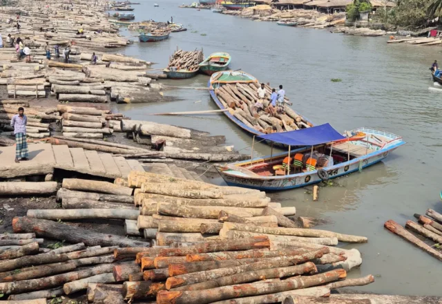Timber Market top view