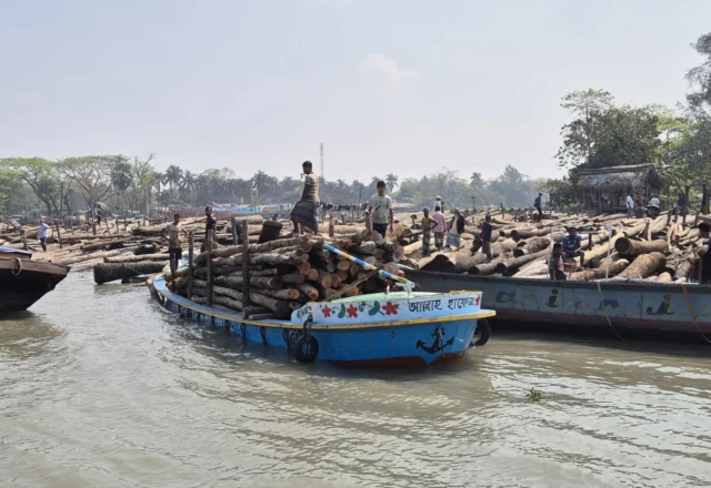 Timber transportation through boat