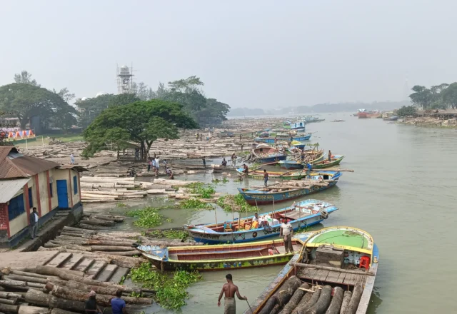 Top view of Timber Market