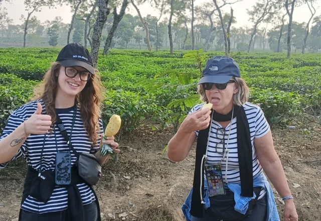 Tourists eating a delicious pineapple at the tea garden