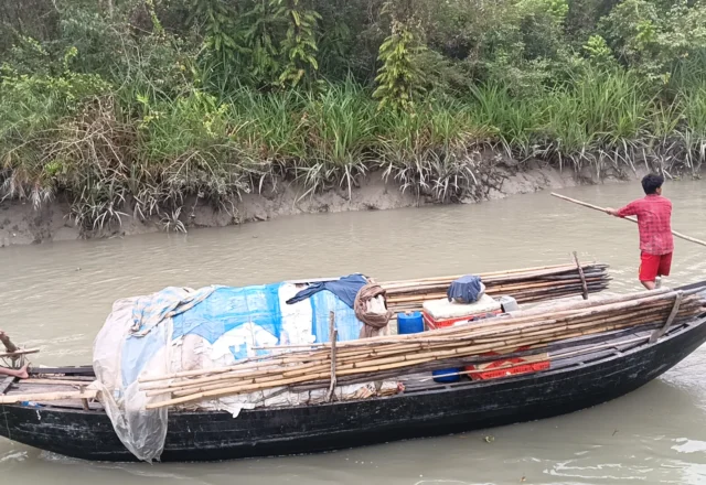 A little boy rowing a boat to catch fish in the Sundarbans