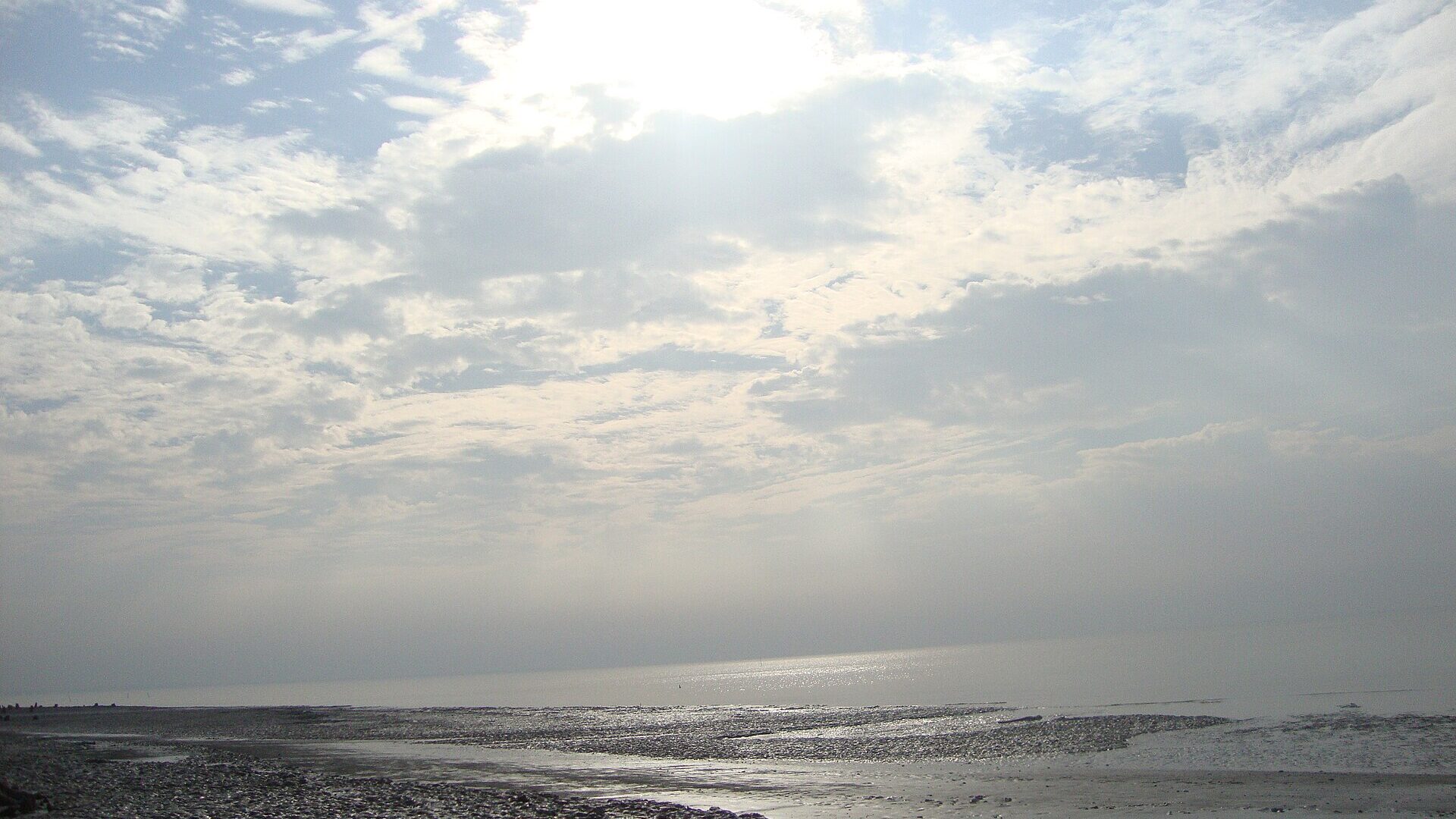 Jamtola Beach in the Sundarbans