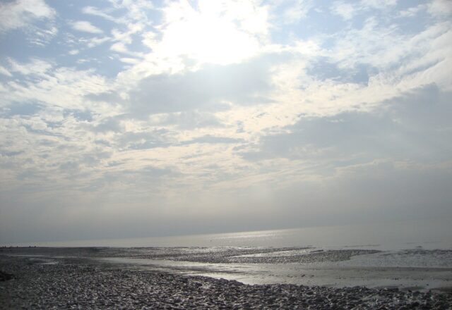 Jamtola Beach in the Sundarbans