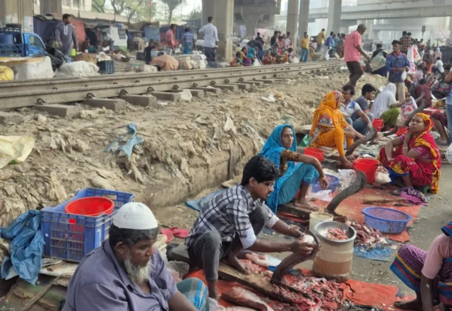 Live fish market beside rail line