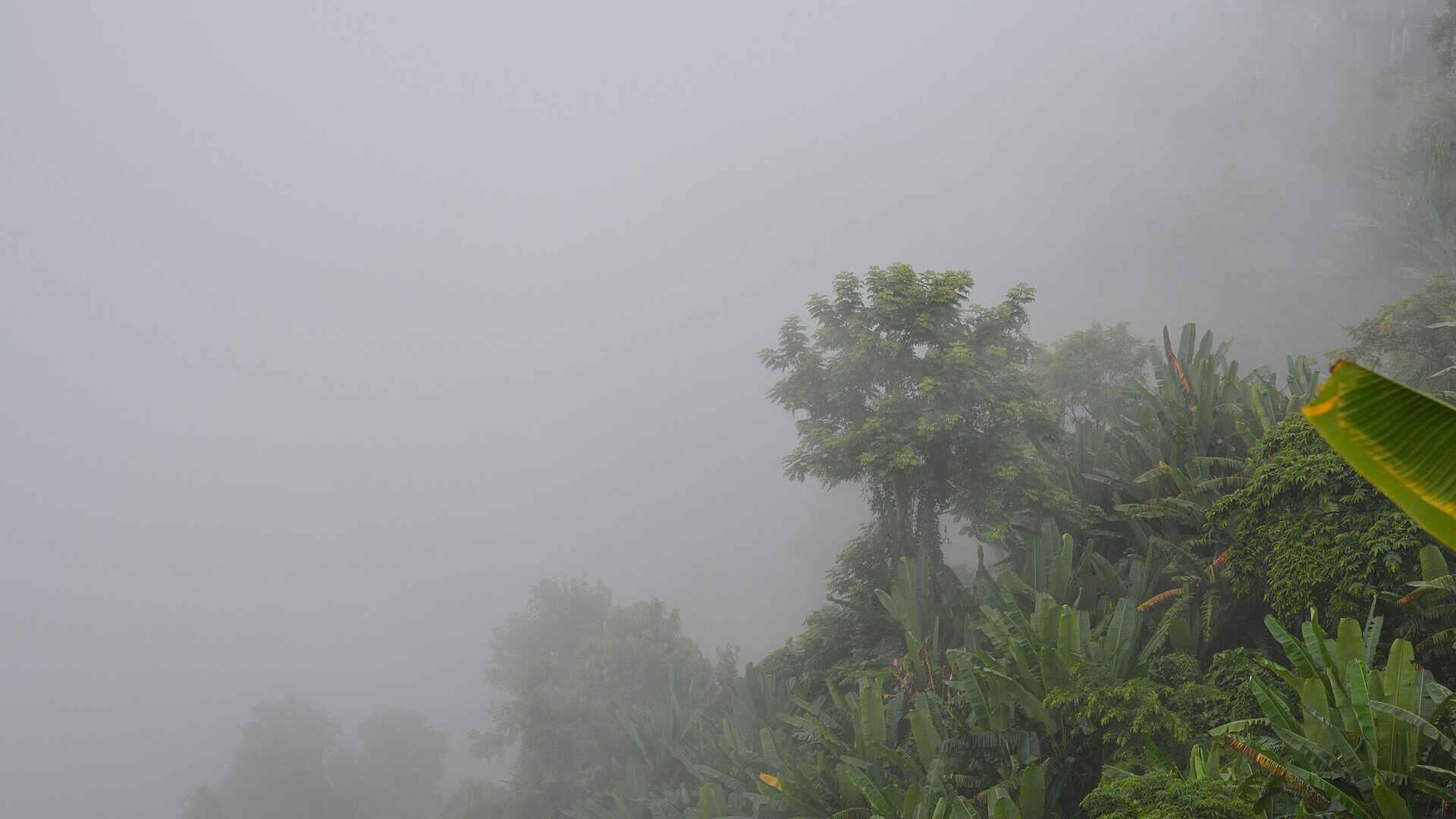 View of Nilachal hill after rain, Bandarban