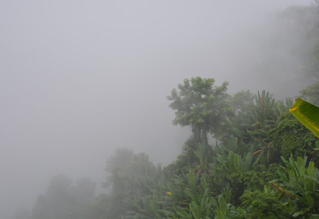 View of Nilachal hill after rain, Bandarban