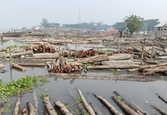Timber floating on the Timber Market Barishal